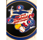 Little League District 19 (New York)